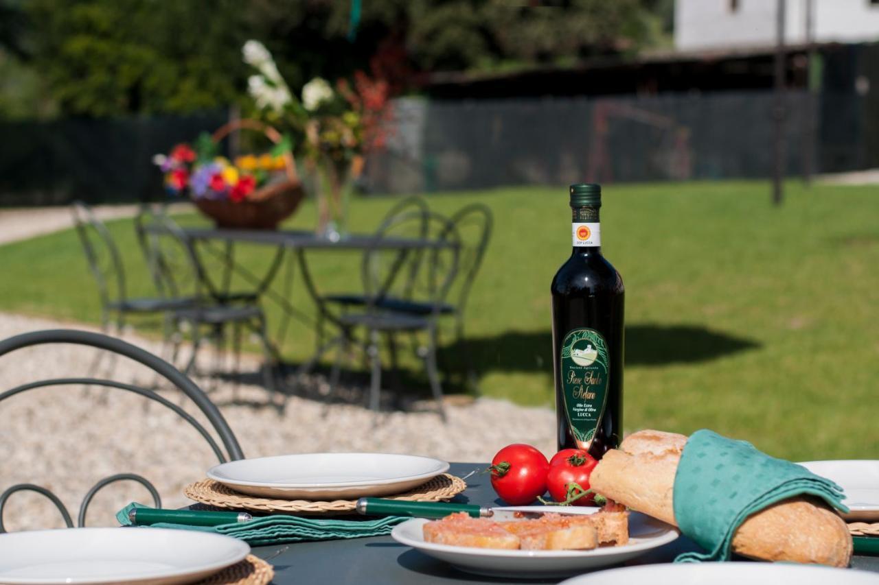 Agriturismo Villa Sardini Lucca Dış mekan fotoğraf