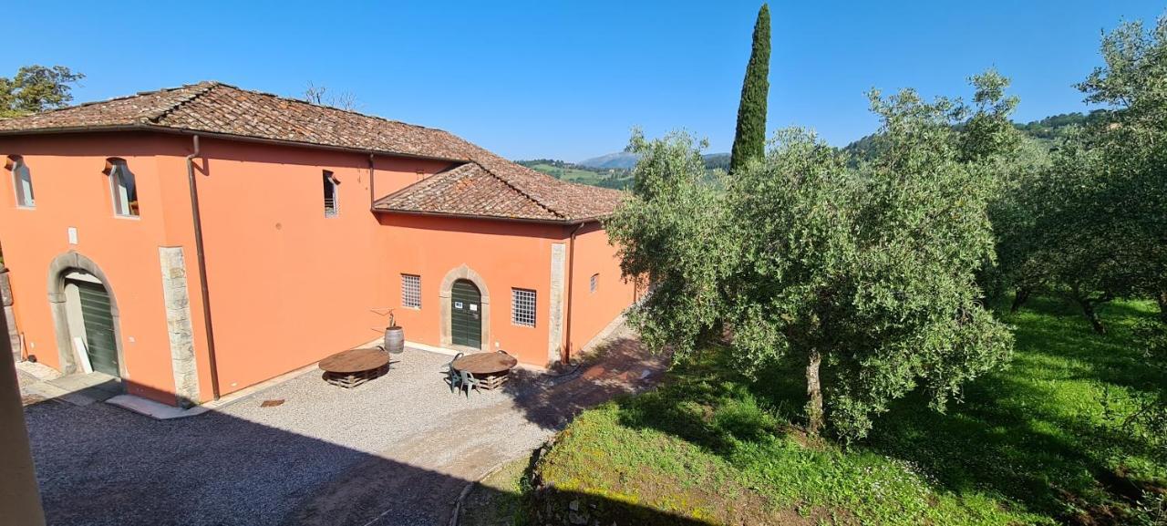 Agriturismo Villa Sardini Lucca Dış mekan fotoğraf