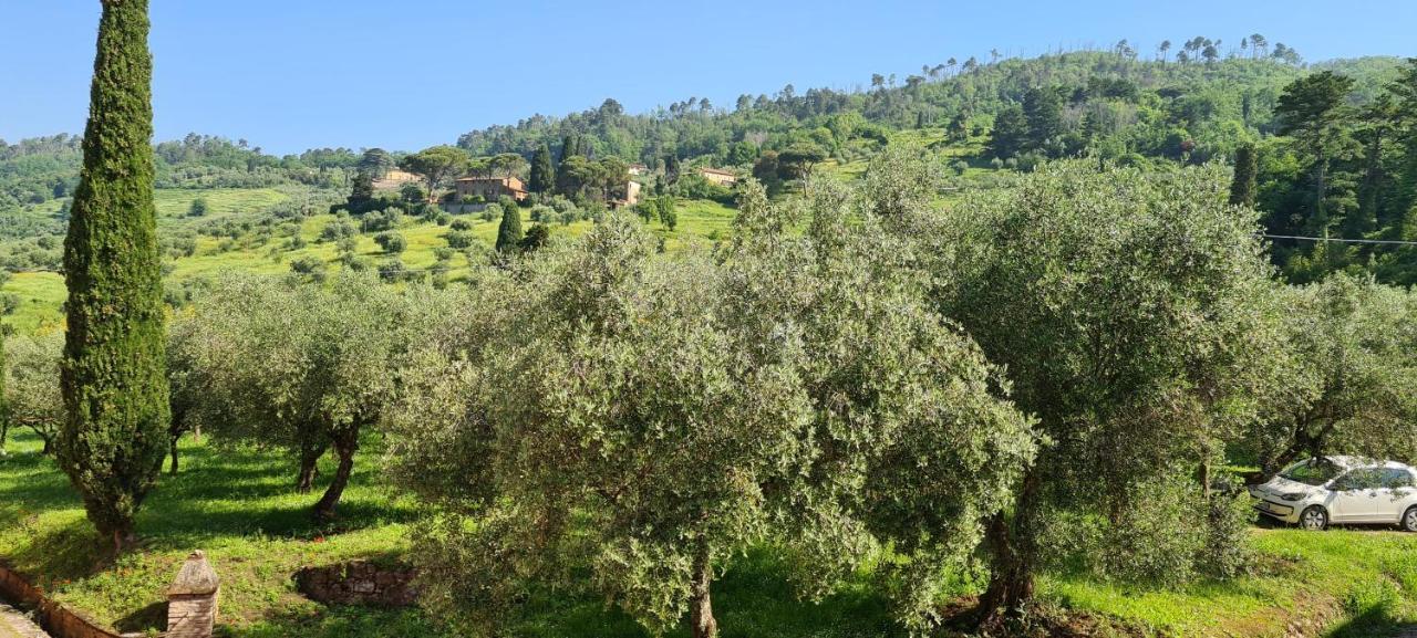 Agriturismo Villa Sardini Lucca Dış mekan fotoğraf