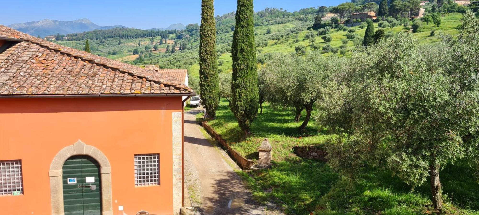 Agriturismo Villa Sardini Lucca Dış mekan fotoğraf
